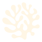 Offwhite Fucus