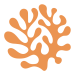 Orange Fucus